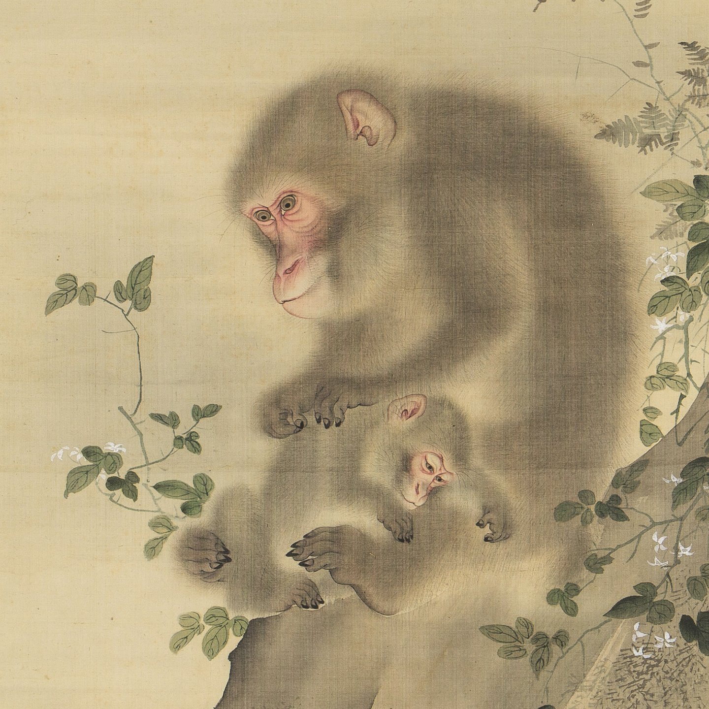 掛け軸 猿之図 森祖仙 江戸時代 絵師