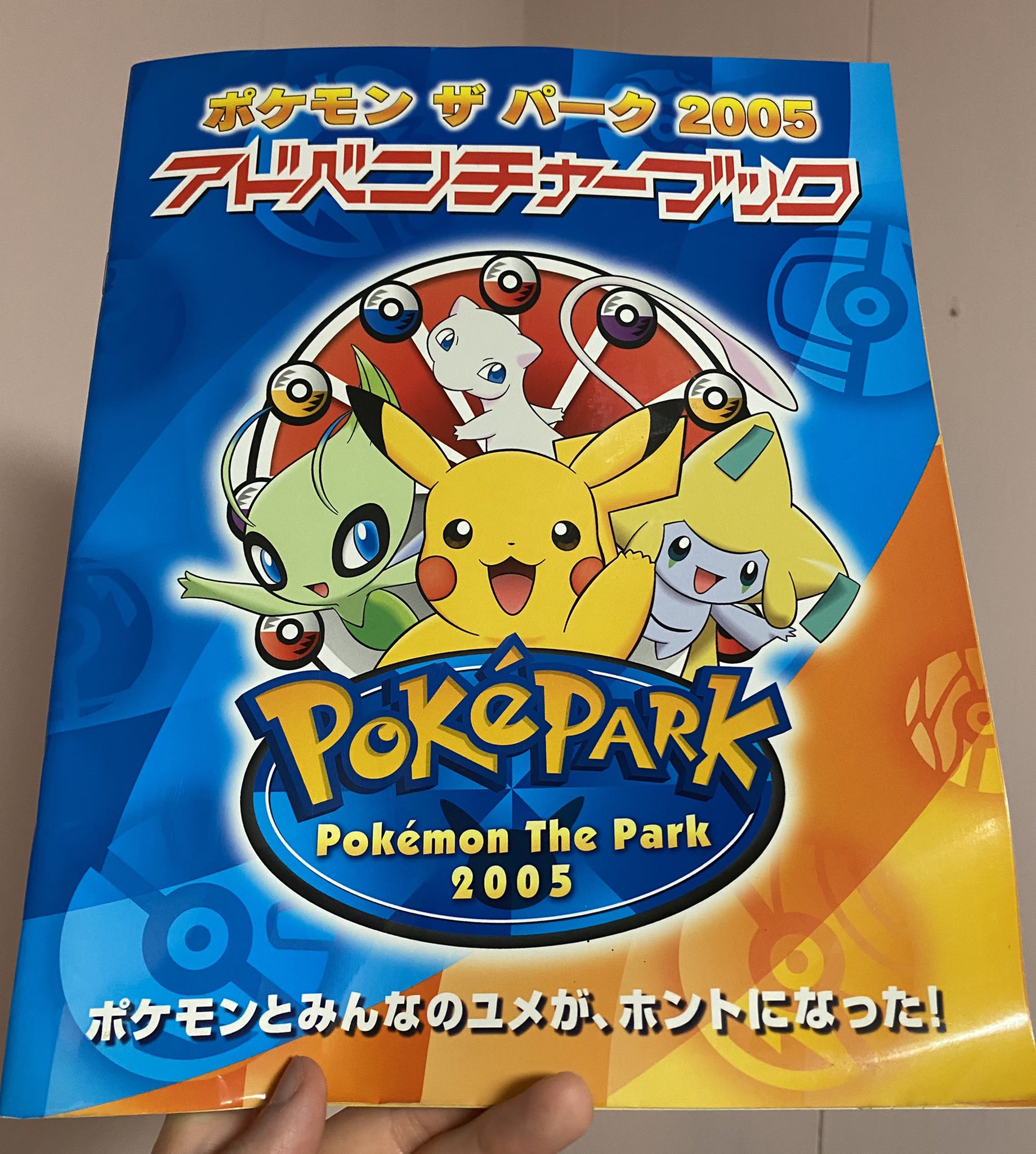 ポケパーク2005 パンフレット ふるびたかいず チラシ等