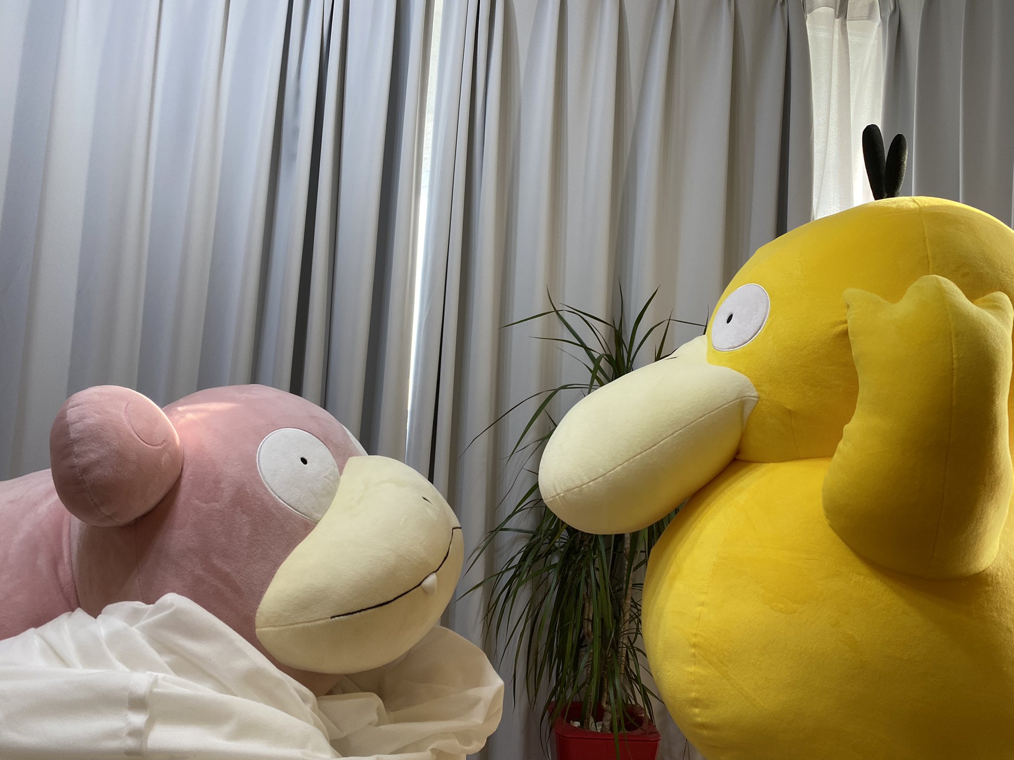 新品未開封】ポケモン ぬいぐるみ 等身大コダック 【完全受注生産