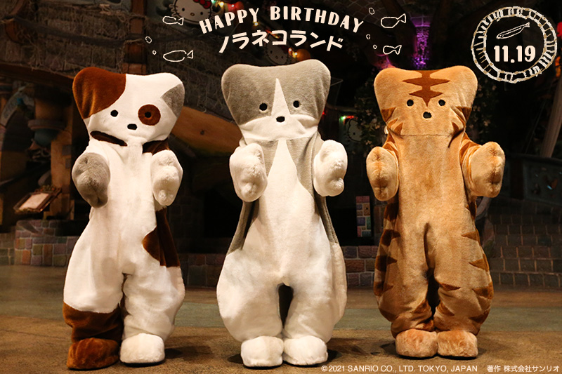 本日11月19日は、仲良しネコの3兄弟💫ノラネコランドの誕生日🎂 クロは