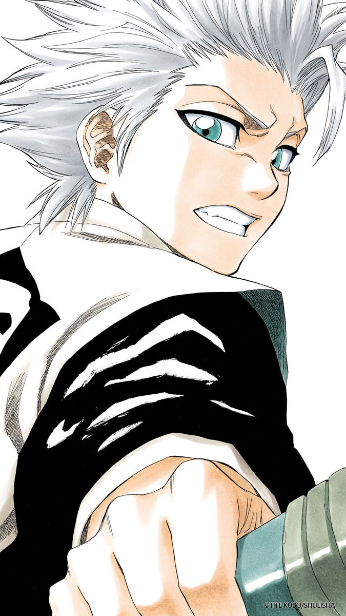 BLEACH 日番谷冬獅郎 ホログラムポスター 大判 額付き BLEACH 日番