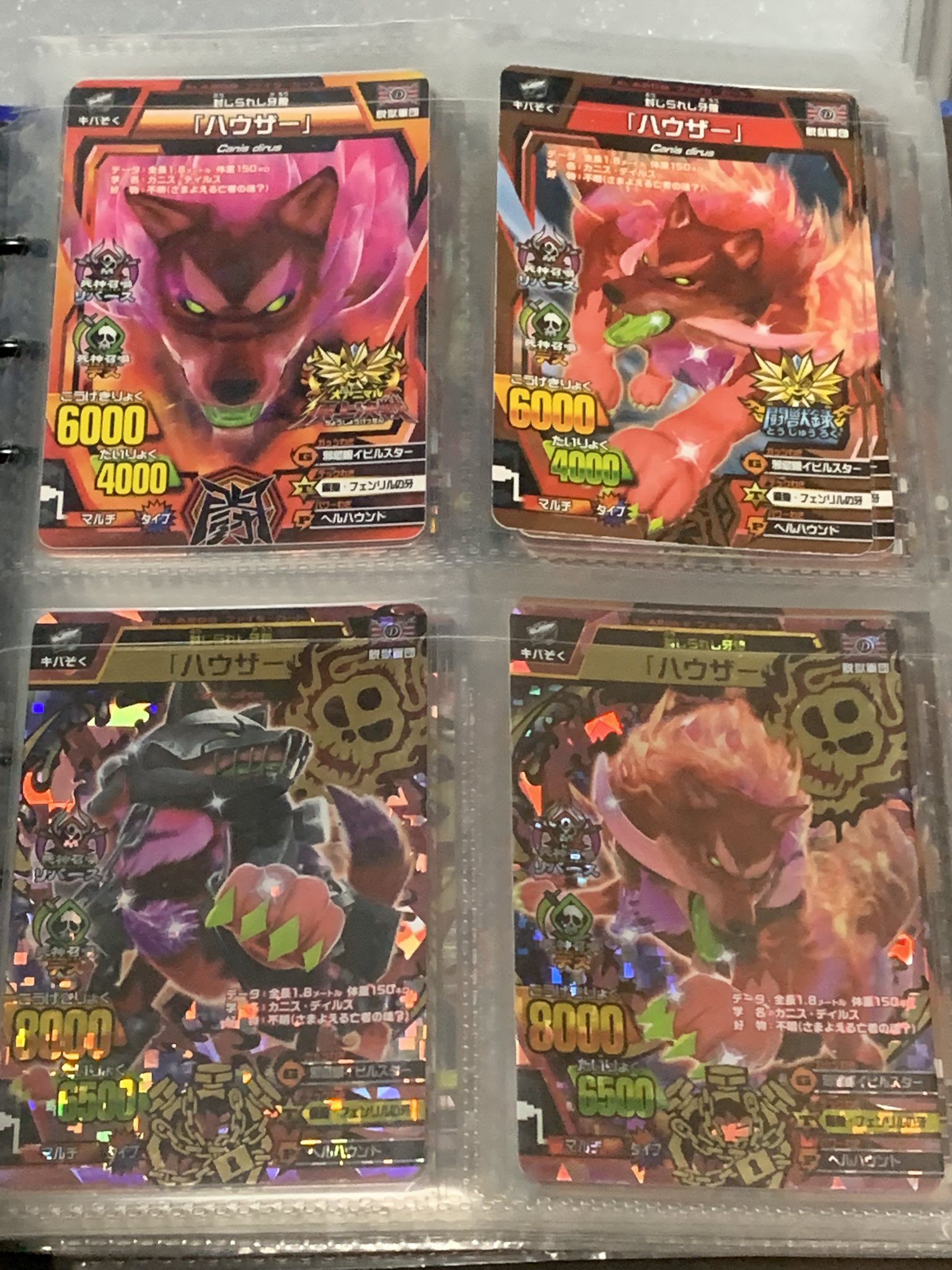 アニマルカイザー ハウザー Amazon.co.jp: グレートアニマルカイザー