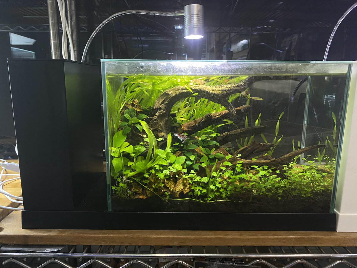 ジェックス AQUA－U WIDE(アクアユーワイド) ブラック - 魚