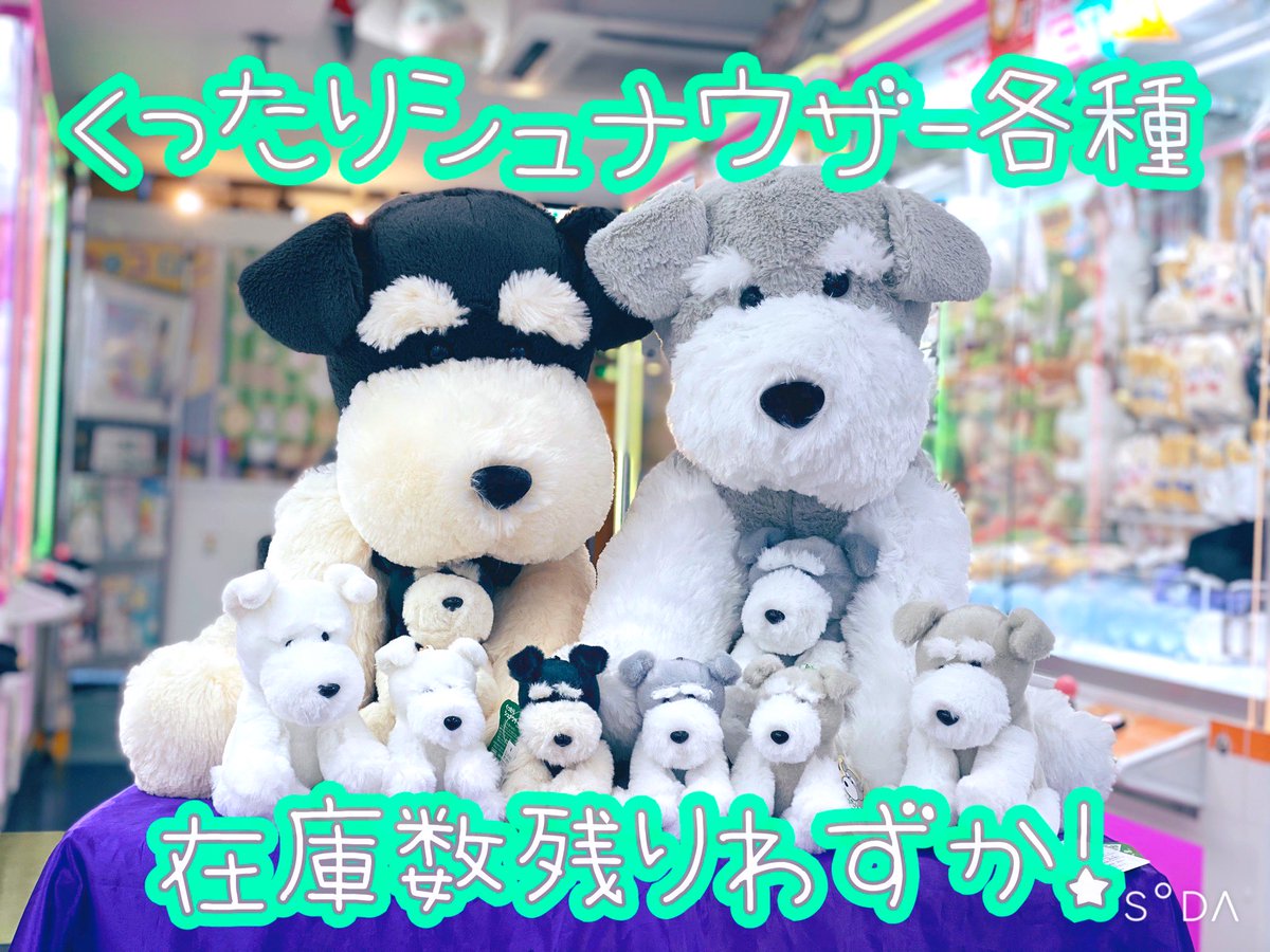 匿名配送】くったりぬいぐるみ8点セット くったりシュナウザー くっ