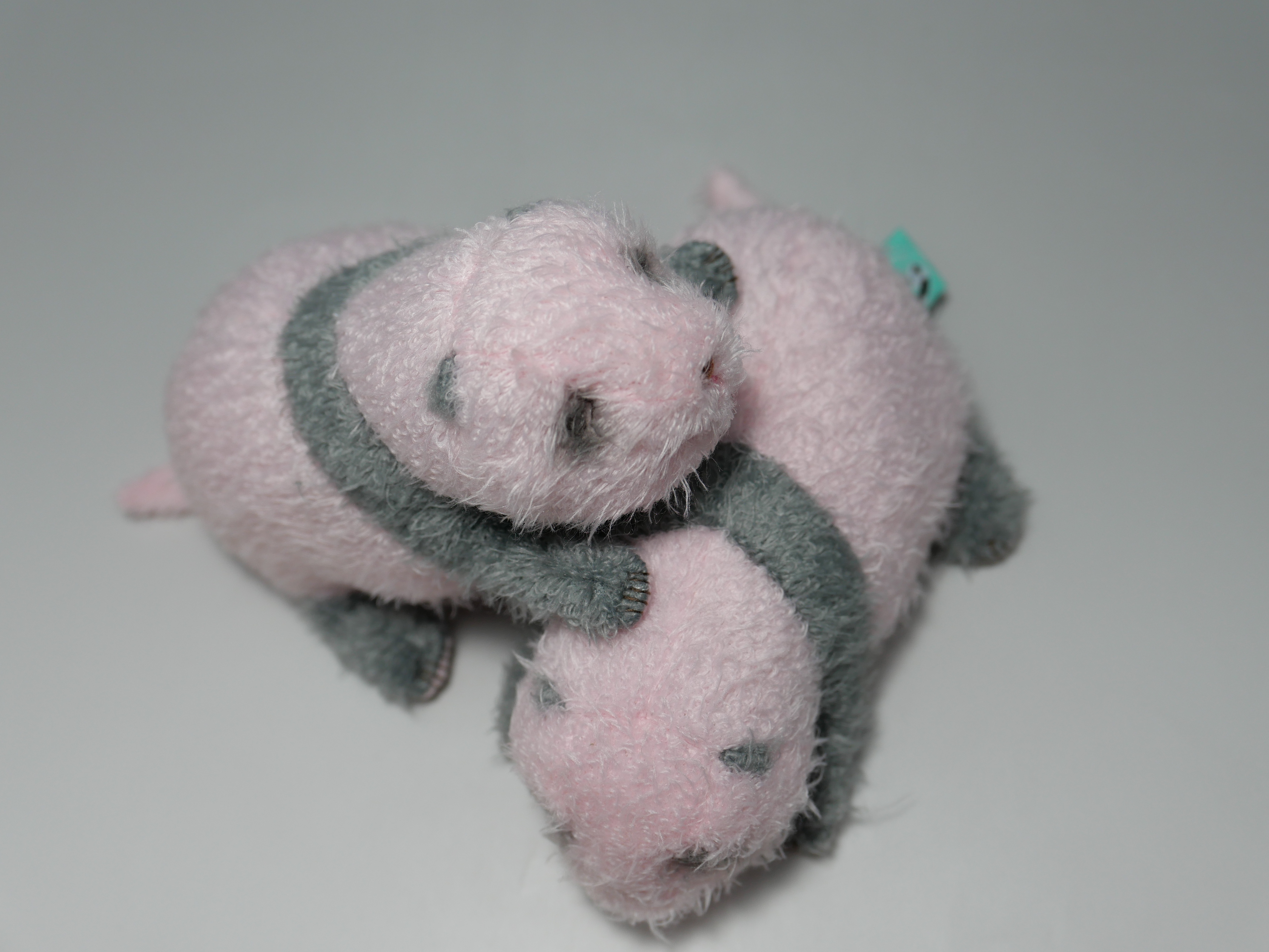 上野動物園 シャオシャオ レイレイほんとの大きさパンダの仔 暁暁 蕾蕾