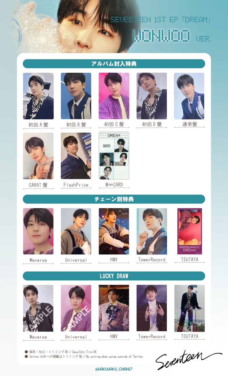 SEVENTEEN DREAM ウォヌ トレカ SEVENTEEN セブチ DREAM 1stEP トレカ