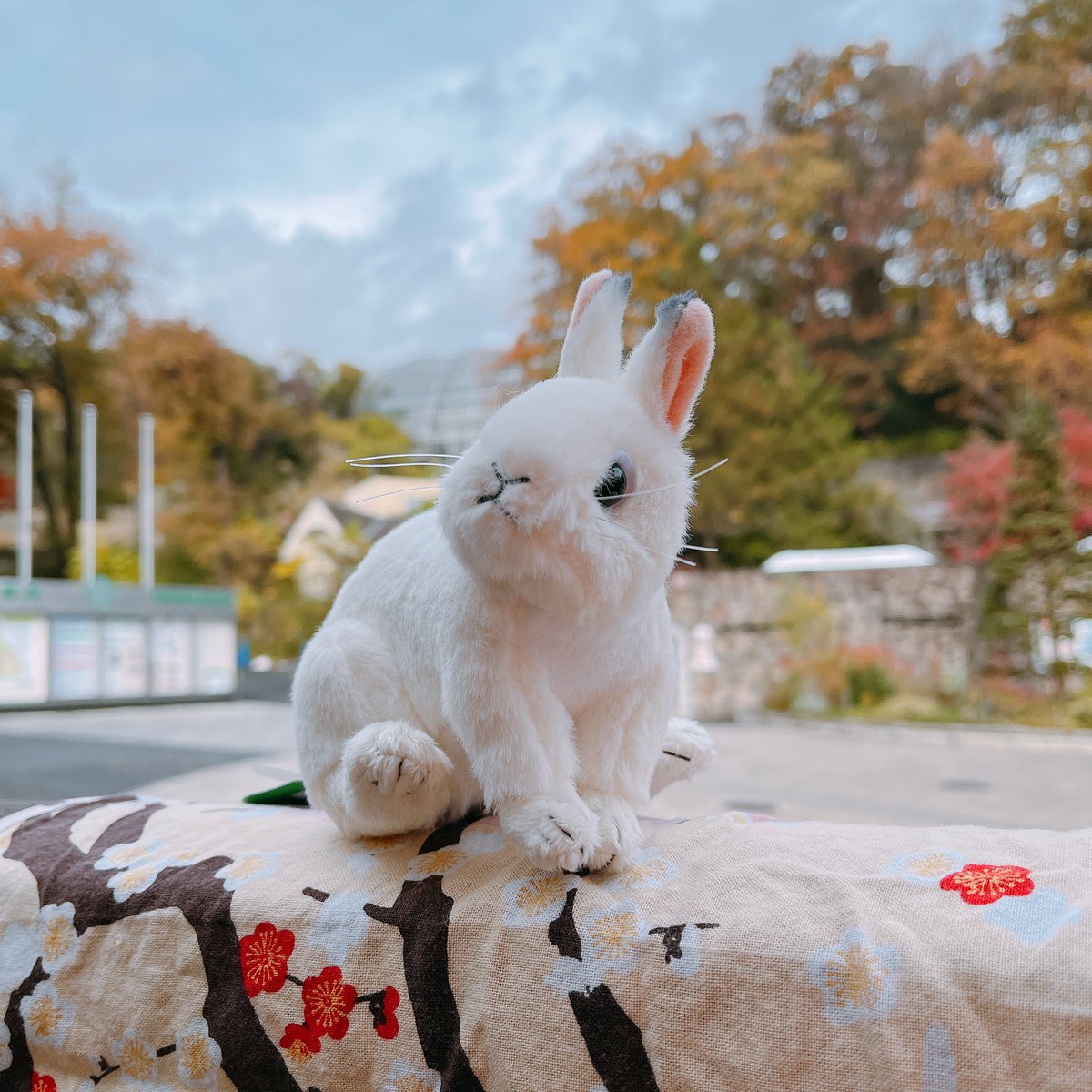 FieO6Y1VIAEOgq2.jpg?format=jpg