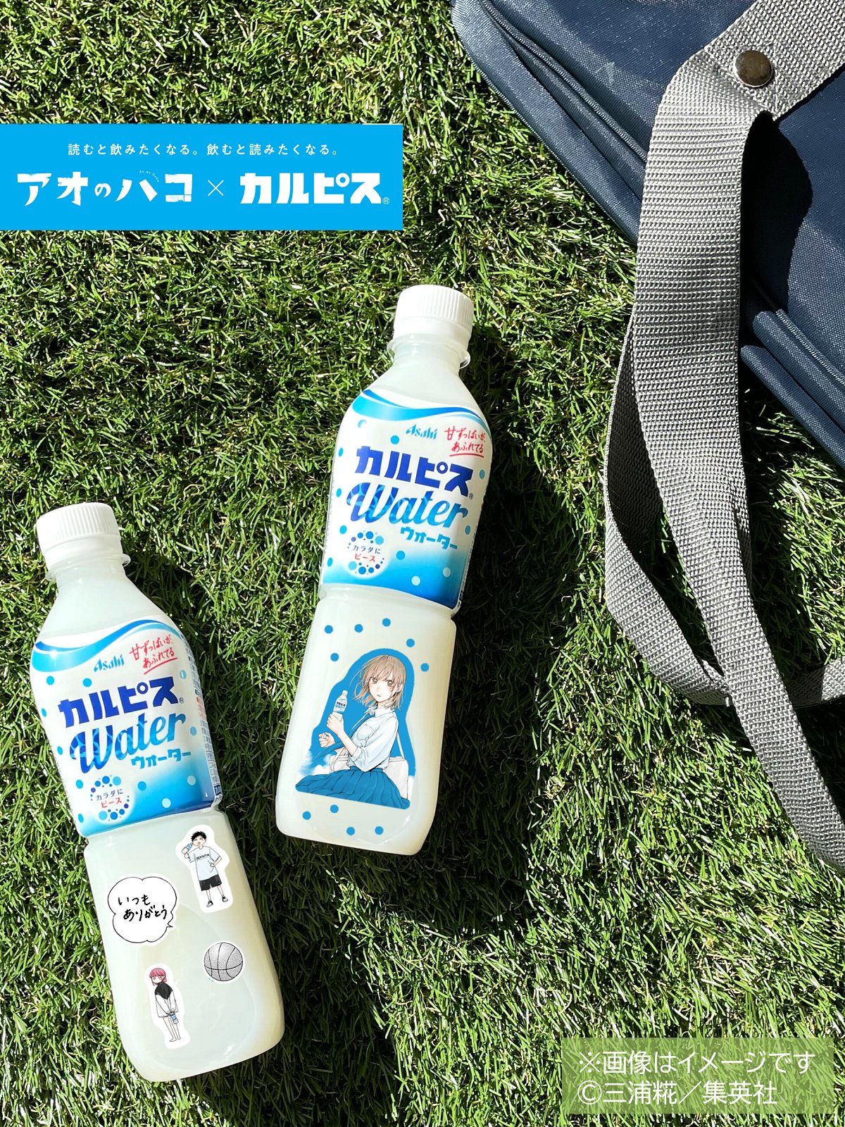 アオのハコ カルピス ステッカー ポストカード