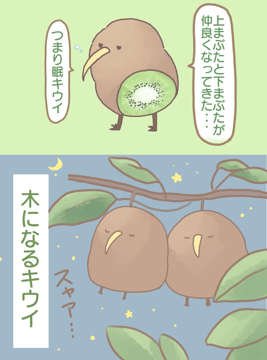 気になるキウイの眠り方 | 湊谷 鈴🥝東京ｺﾐﾃｨｱU64b＆ｶﾌﾟｾﾙﾄｲ前向キウイ