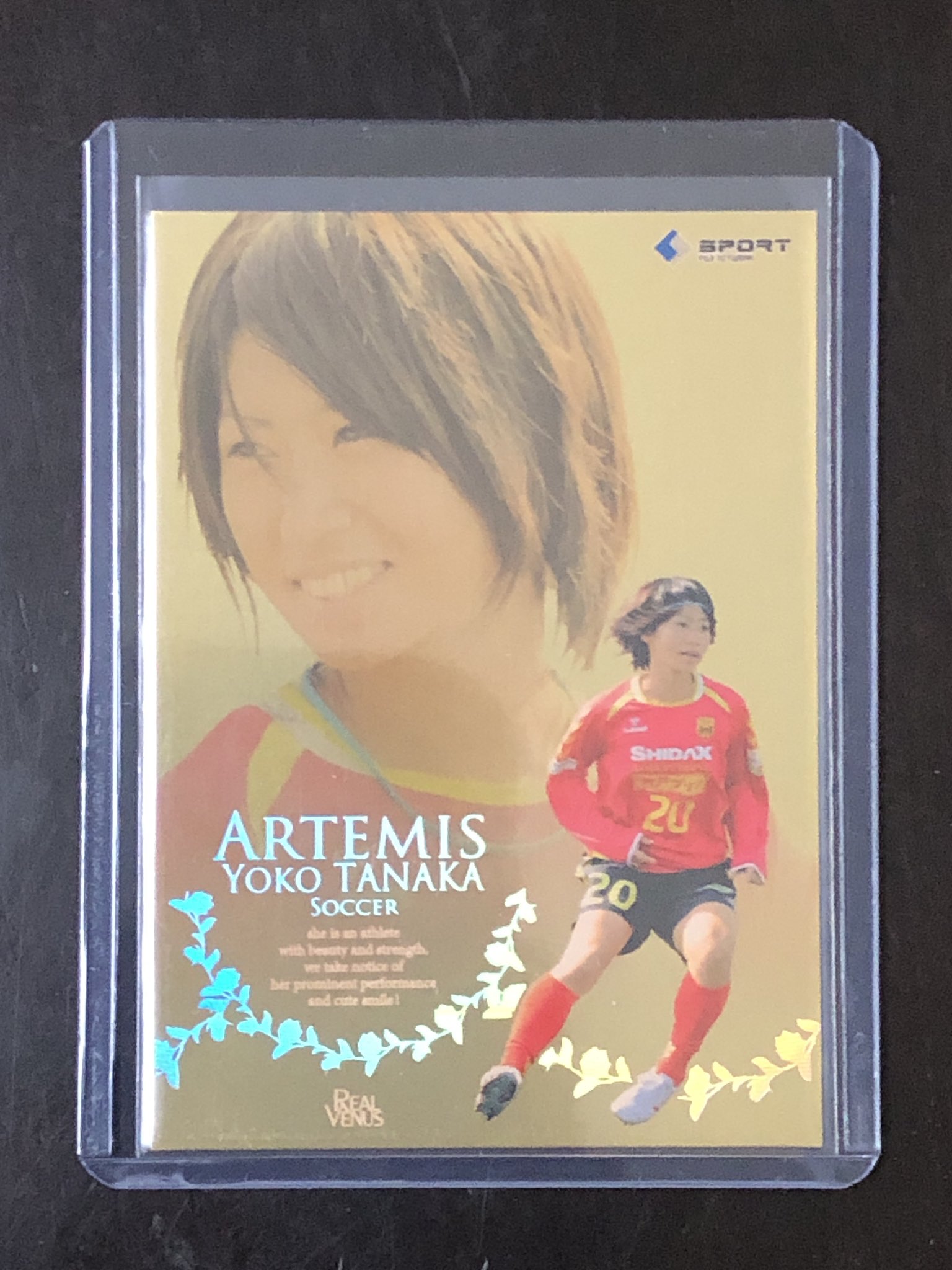 BBM 2012 リアルヴィーナス 田中陽子 直筆サインカード /30 BBM 2012