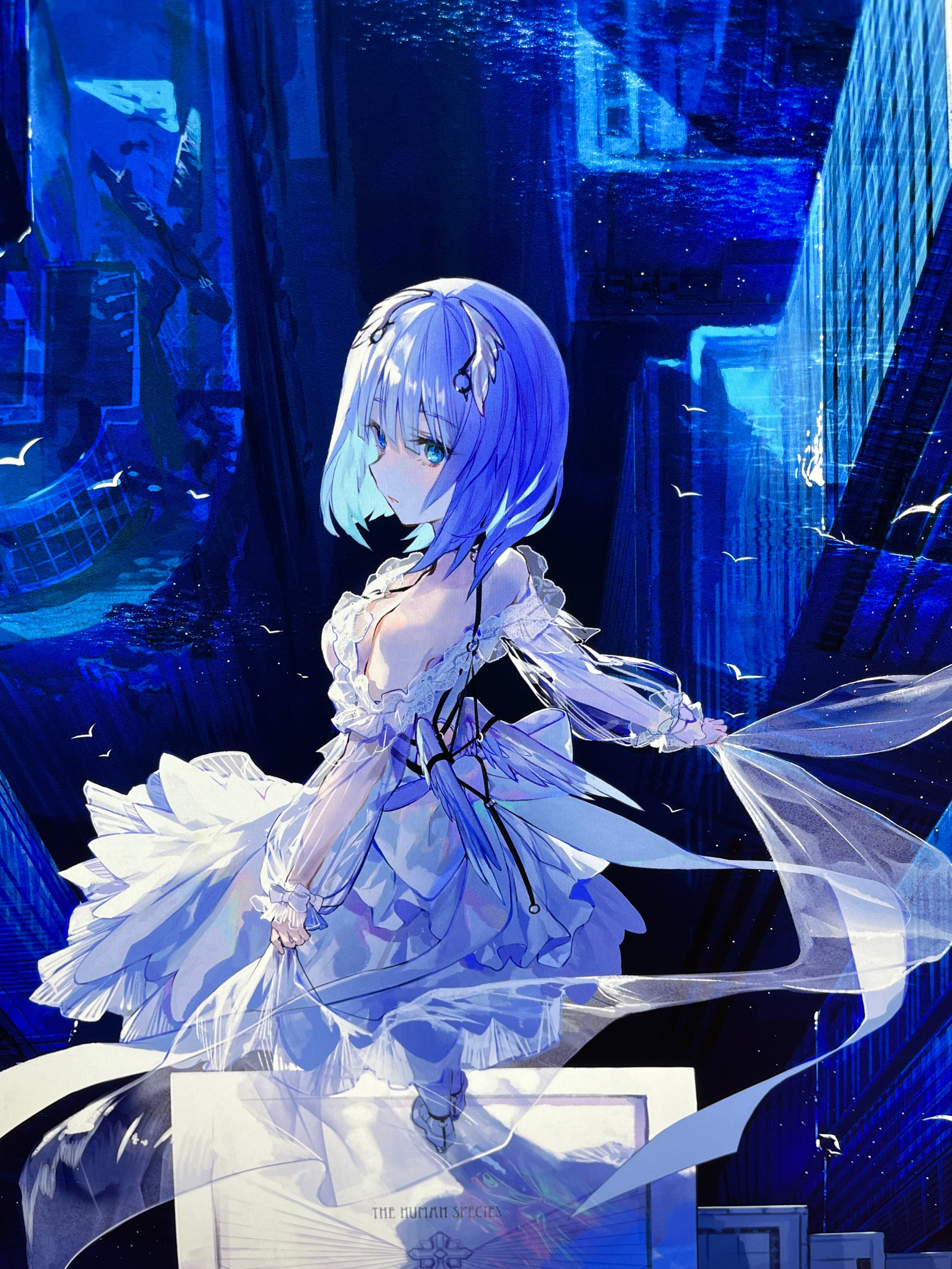 藤ちょこ 複製原画 春の香りがする 藤色巡り 直筆サイン証明付き