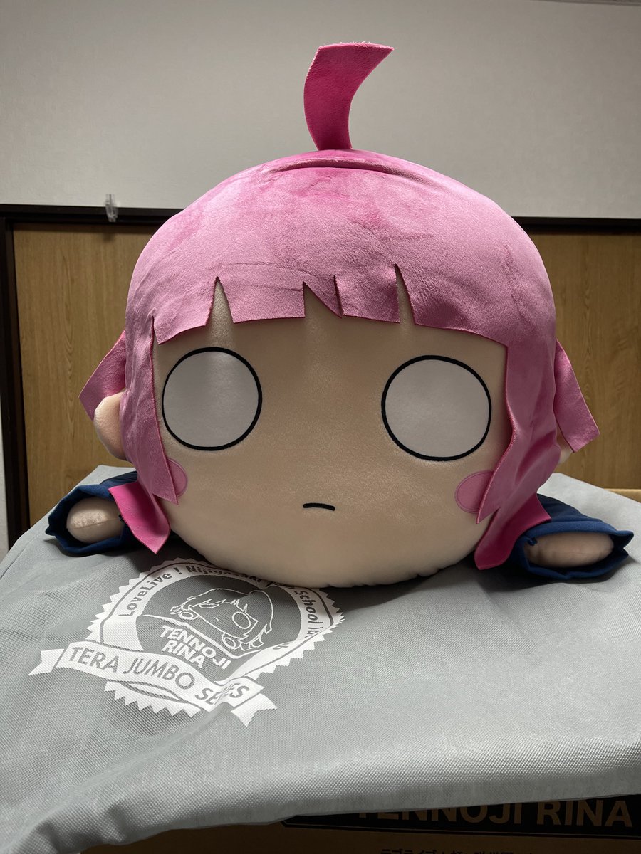 ラブライブ テラジャンボ 寝そべりぬいぐるみ 天王寺璃奈 虹ヶ咲 未