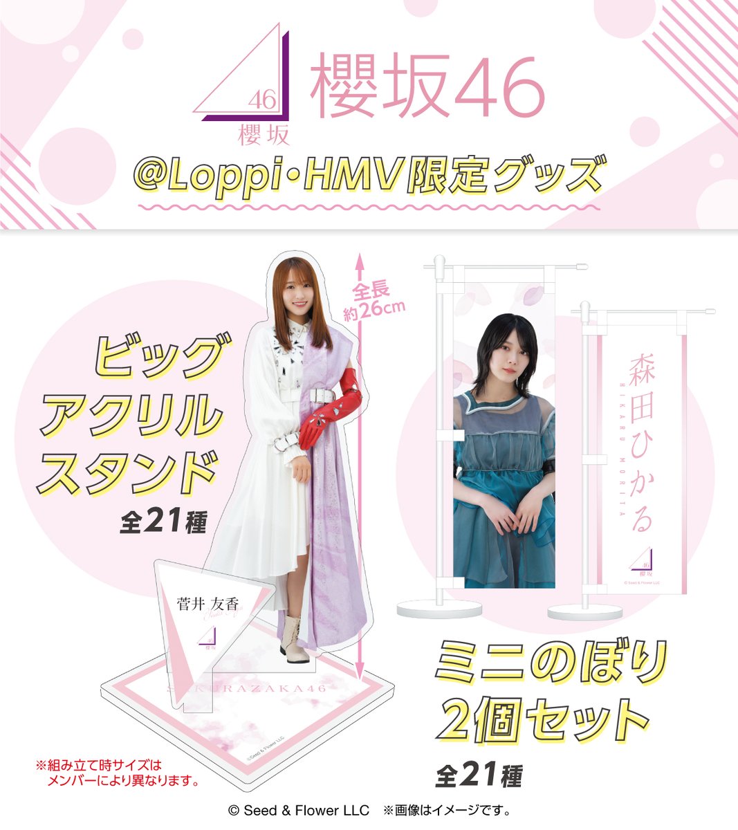 的野美青 HMV＆Loppi限定 ペンライトスタンド ペンライトスタンド（的