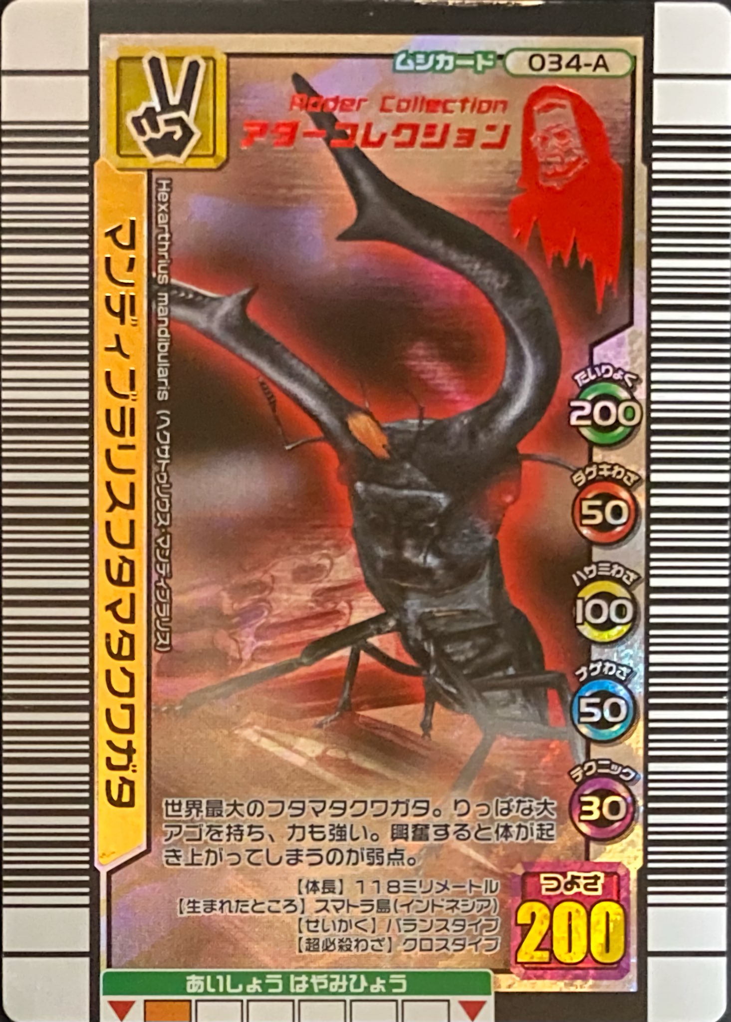 ムシキング5周年 マンディブラリスフタマタクワガタ アダー 26