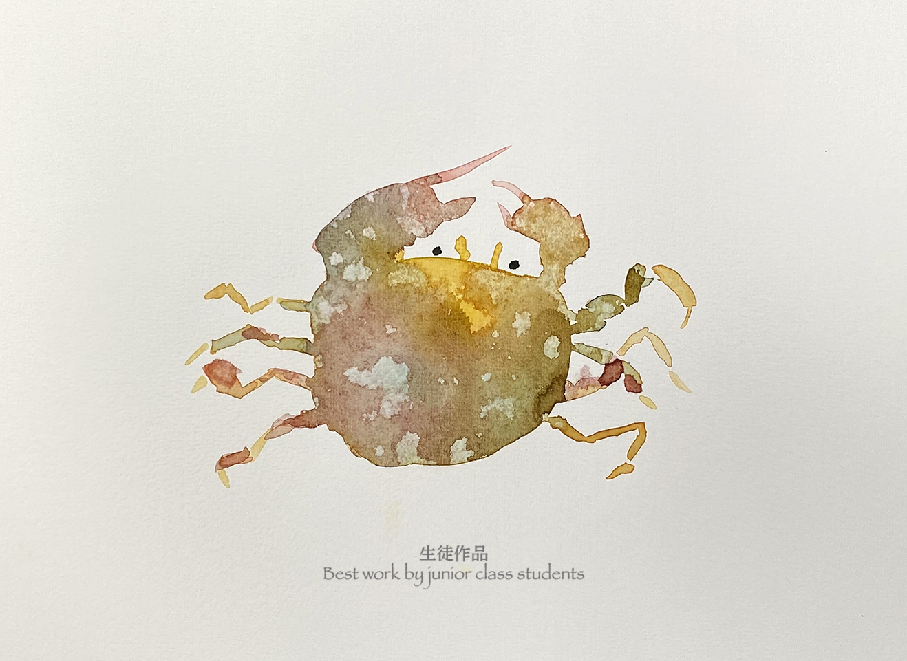 生物細密画「サワガニの子育て」 生物細密画「サワガニの子育て」