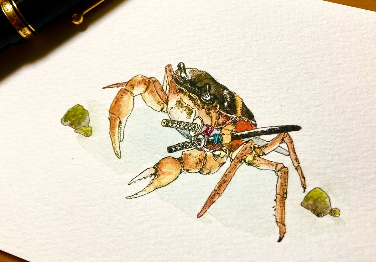 水彩画 生物細密画「ヤシガニ」 真作