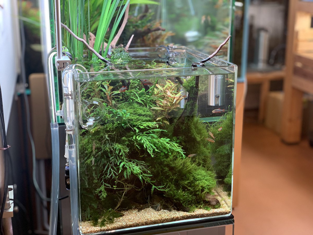 ADA 30cm キューブ水槽 セット