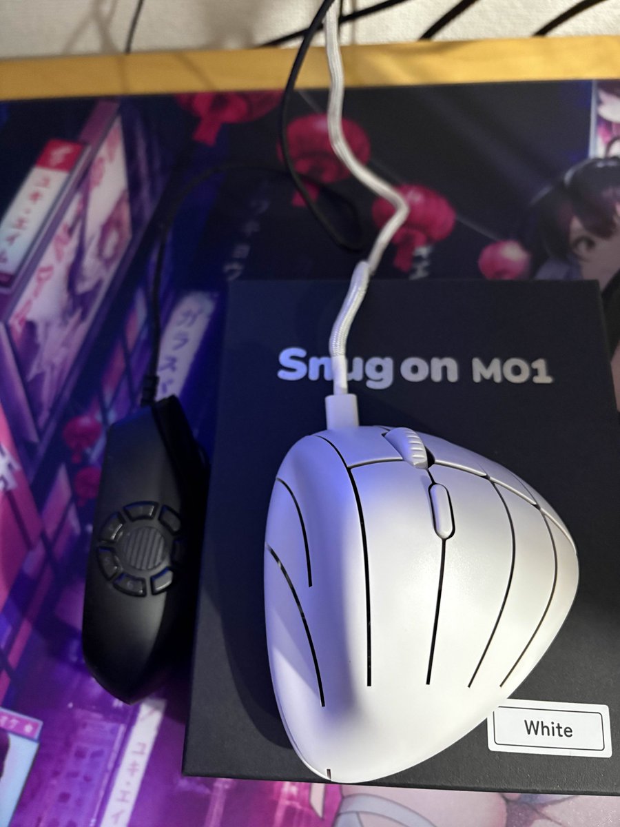 西出翔太 | Snugon | 多ボタンマウス販売中 (@Nishi0005) / Posts / X