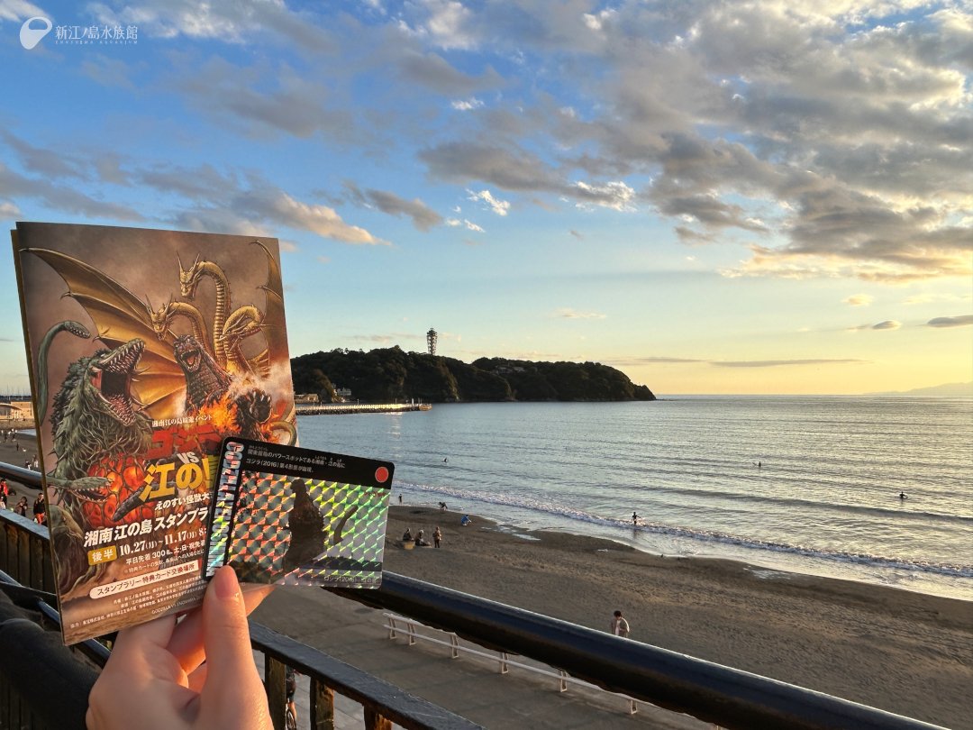 ゴジラ VS 江の島 スタンプラリー特典カード えのすい怪獣大決戦