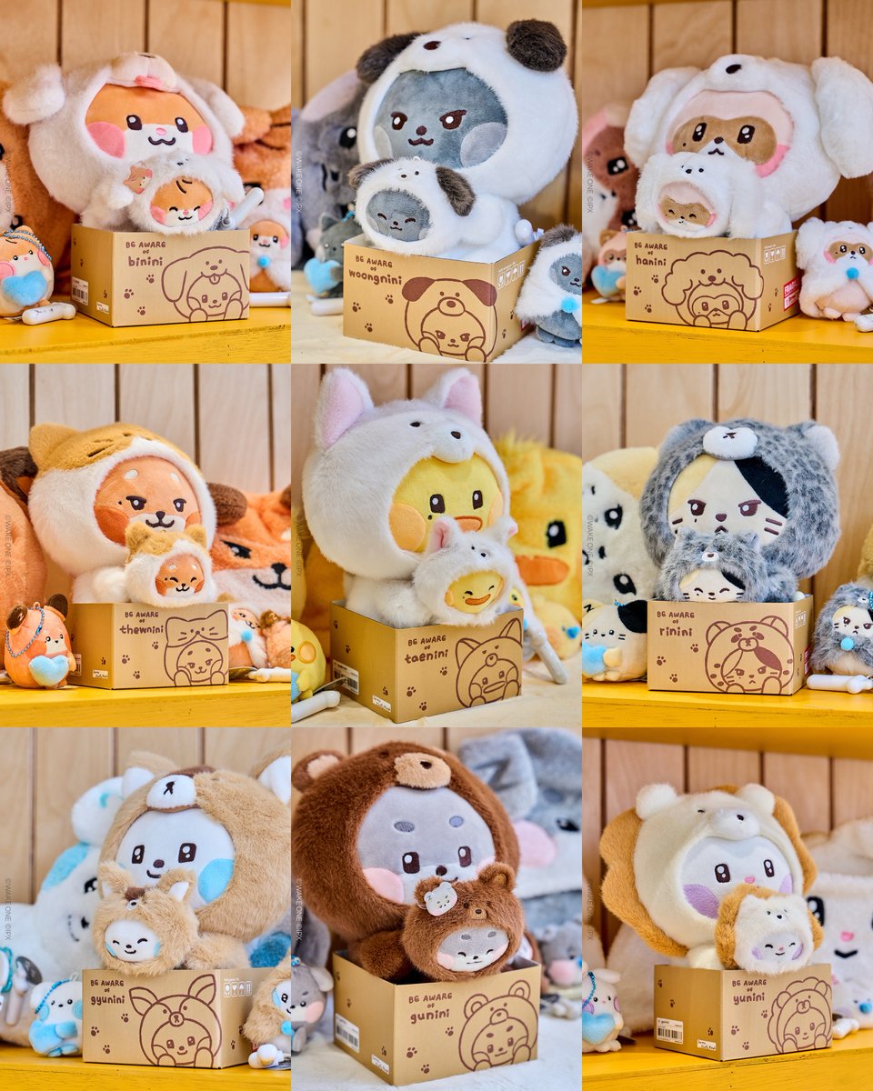 ZEROBASEONE zeroni FLUFFY Wonderland POPUP MD 🧸ゼロニ