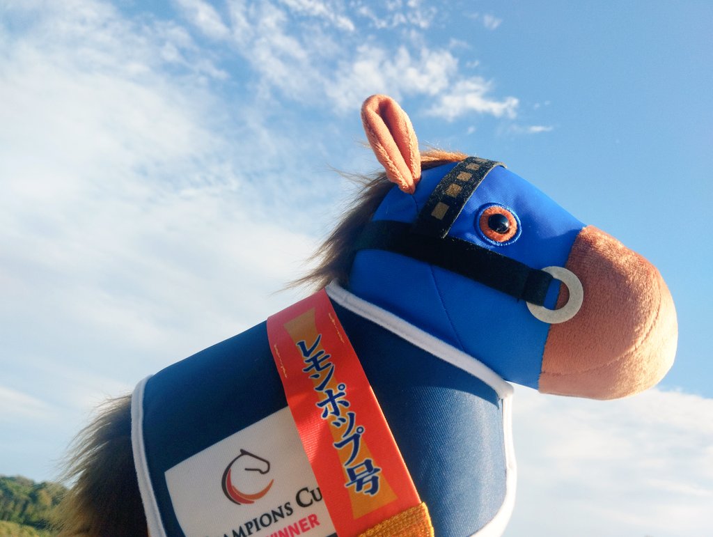 ともち(=^・・^=) おもちになります ともち(=^・・^=) ともち