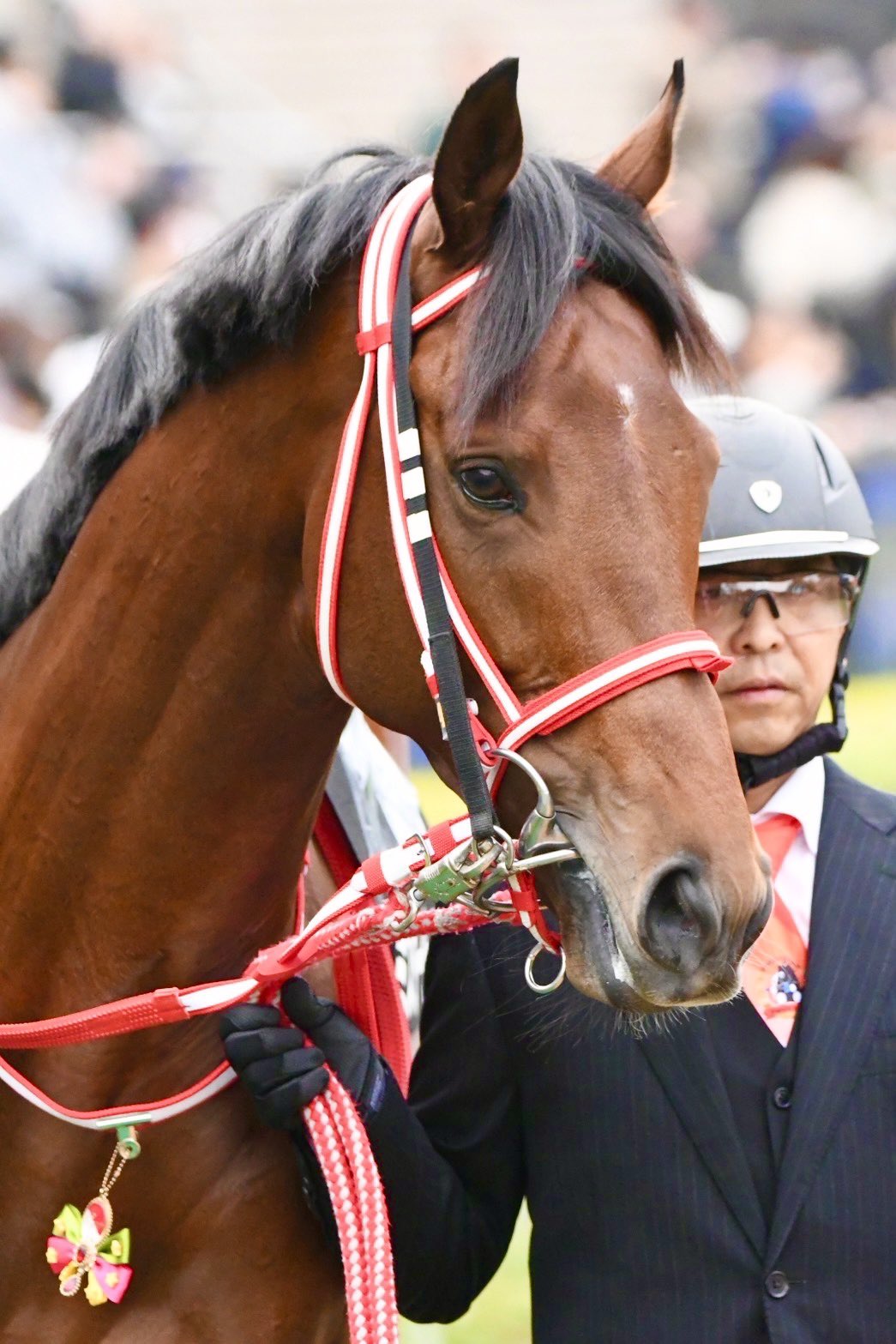 イクイノックス 実使用 調教 蹄鉄 鬣 一本付き ② イクイノックス】実