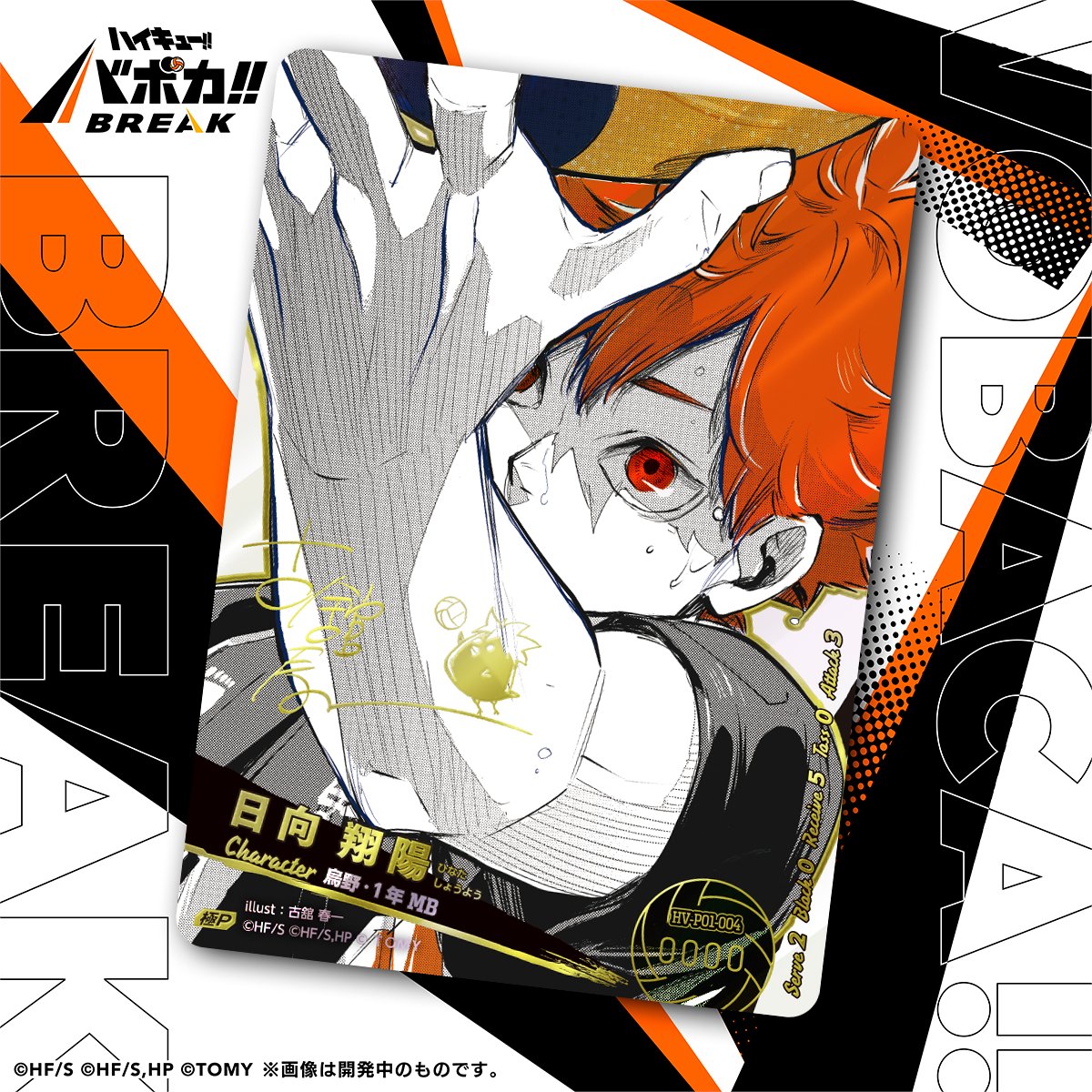 日向翔陽 極 バボカ シリアルナンバー付き ハイキュー!! バボカ