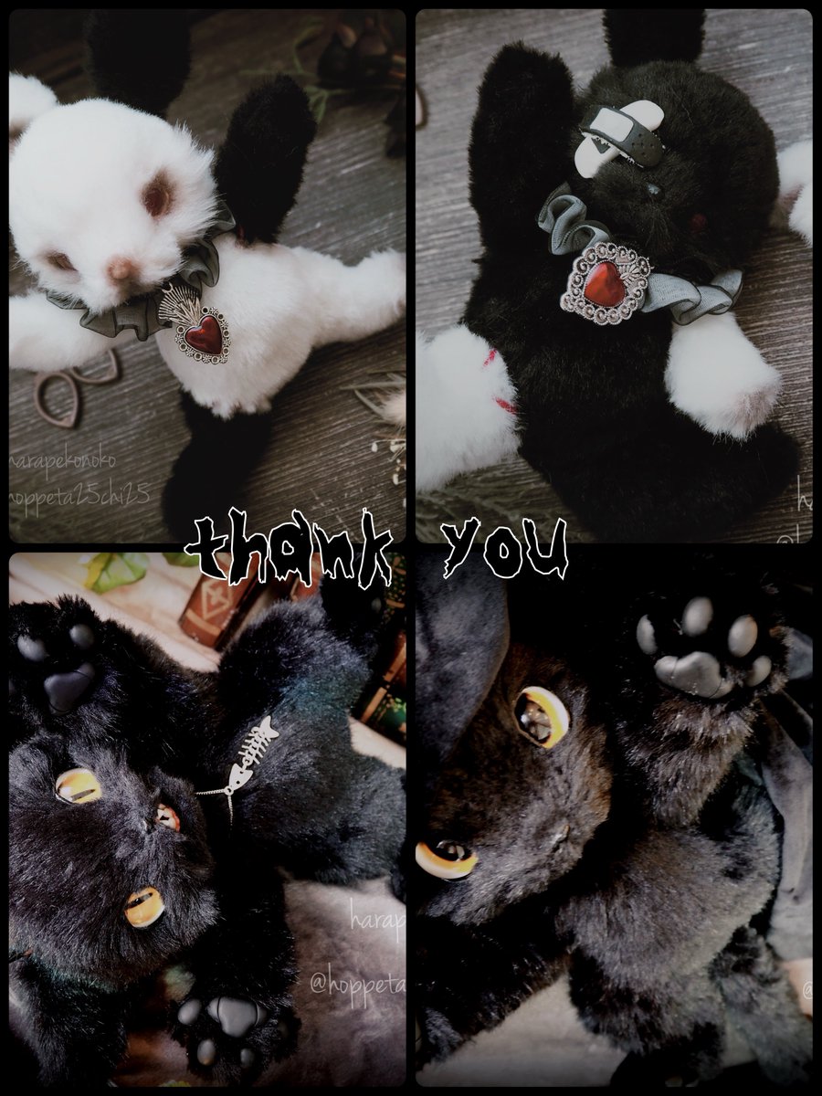 ハラペコ様 ヒヨコ アートドール ハラペコ (@hoppeta25chi25) ⁄ Posts ⁄ X