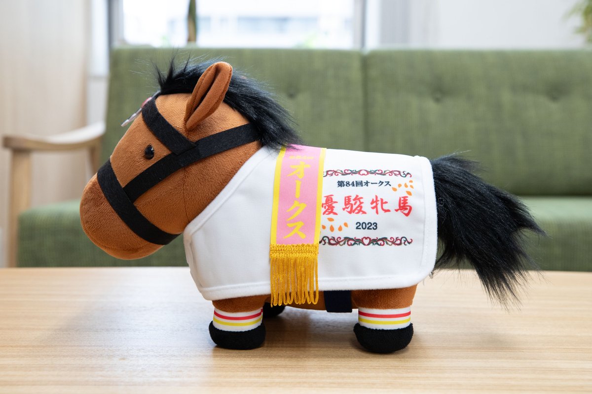 サージカル新子】サラコレおまとめ8点 サージカル新子】サラコレお