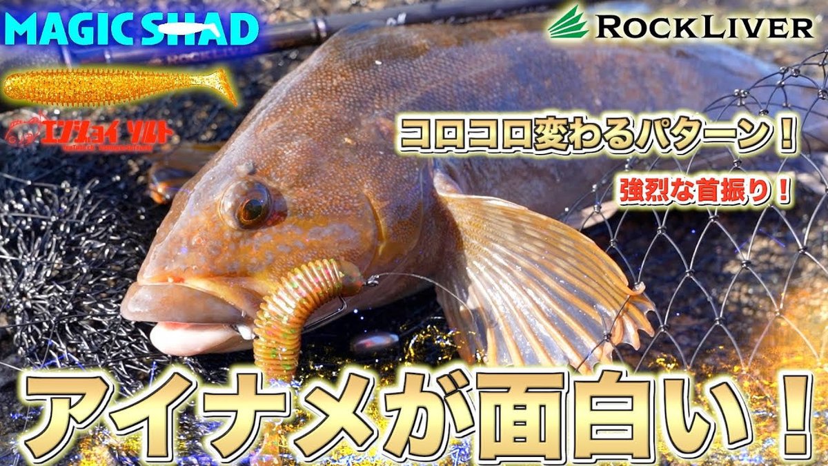 エンジョイソルト (@SefhCsoYYDDg1pR) / Posts / X