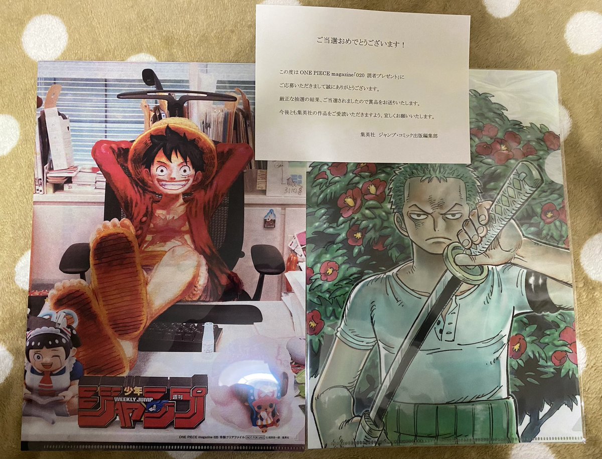 ワンピースマガジン クリアファイル 当選品 え…！？？これは嬉し過ぎる