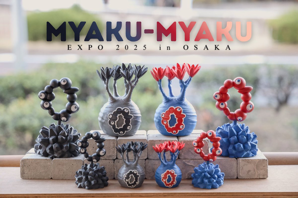 コンプ LOBINDON ロビンドン ミャクミャク グラキリス 亀甲竜 塊根