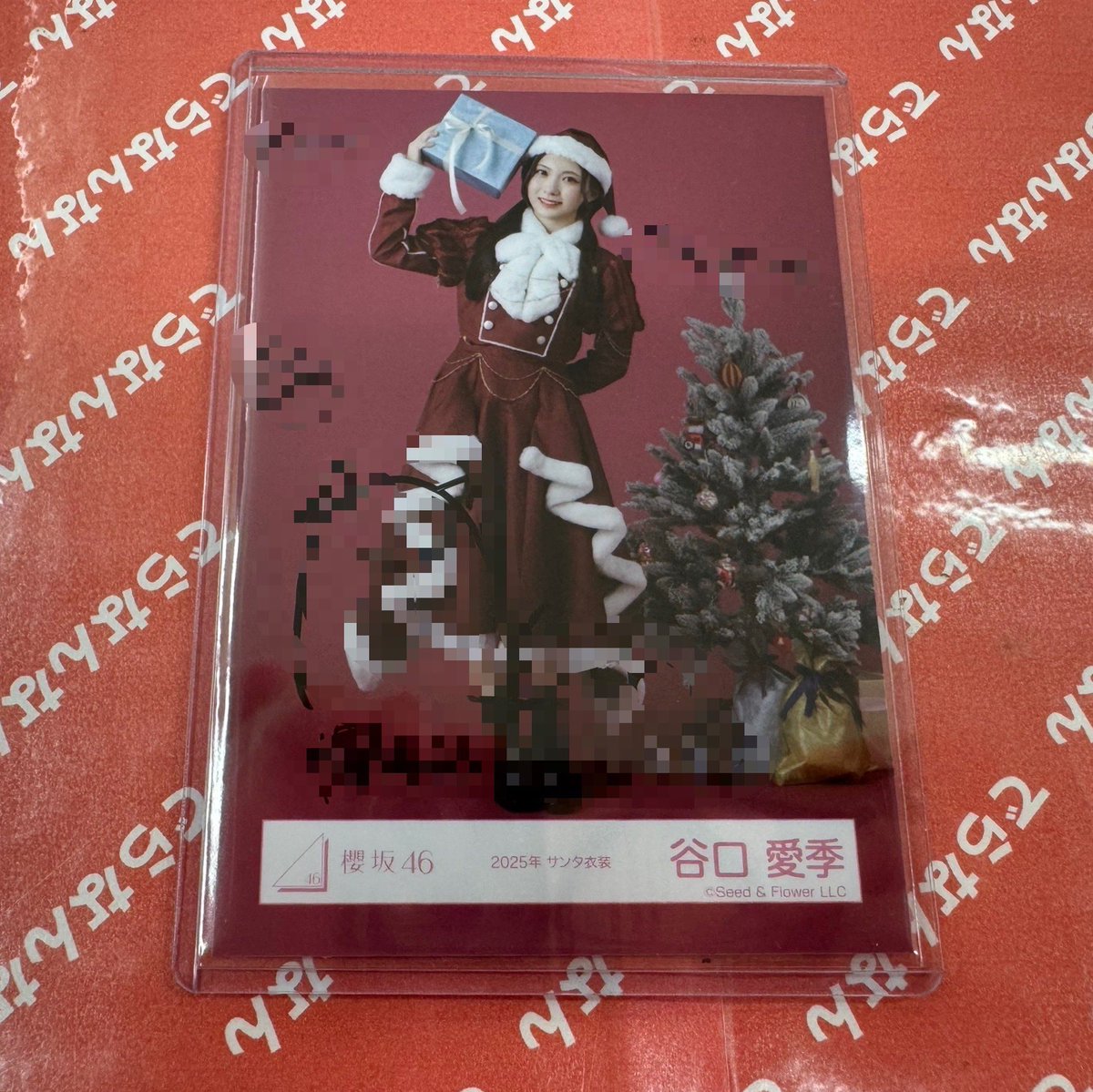 櫻坂46 谷口愛季 直筆(サイン)生写真(2023年クリスマスサンタ衣装 寄り)