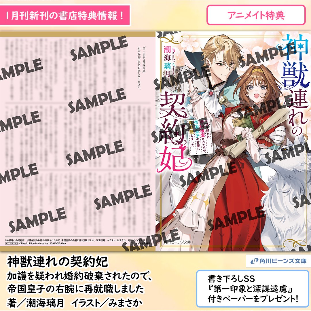 クリミナーレ！DUELLO」SS小冊子 ステラワース全巻購入特典 購入