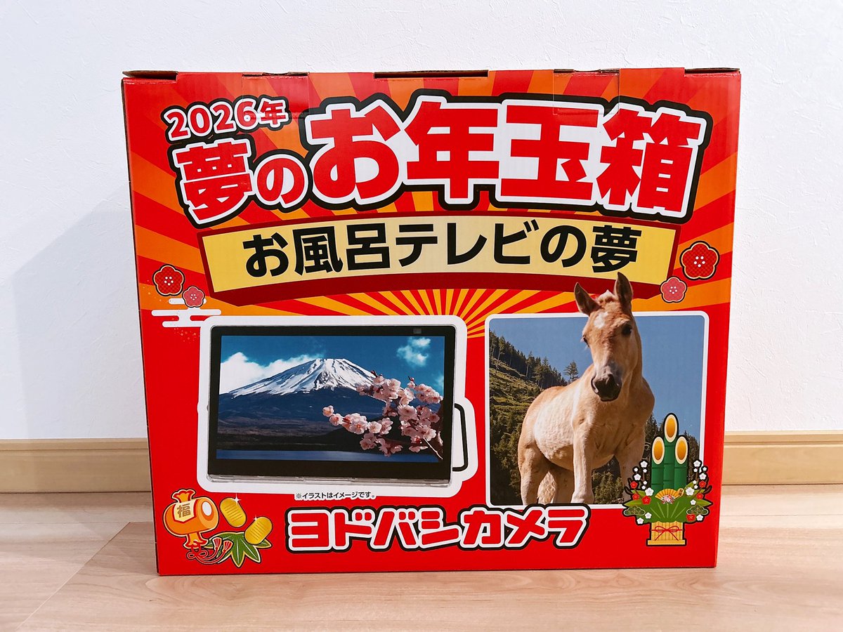 ヨドバシの福袋届いた！！ お風呂テレビの夢🛀 予想の3倍くらい