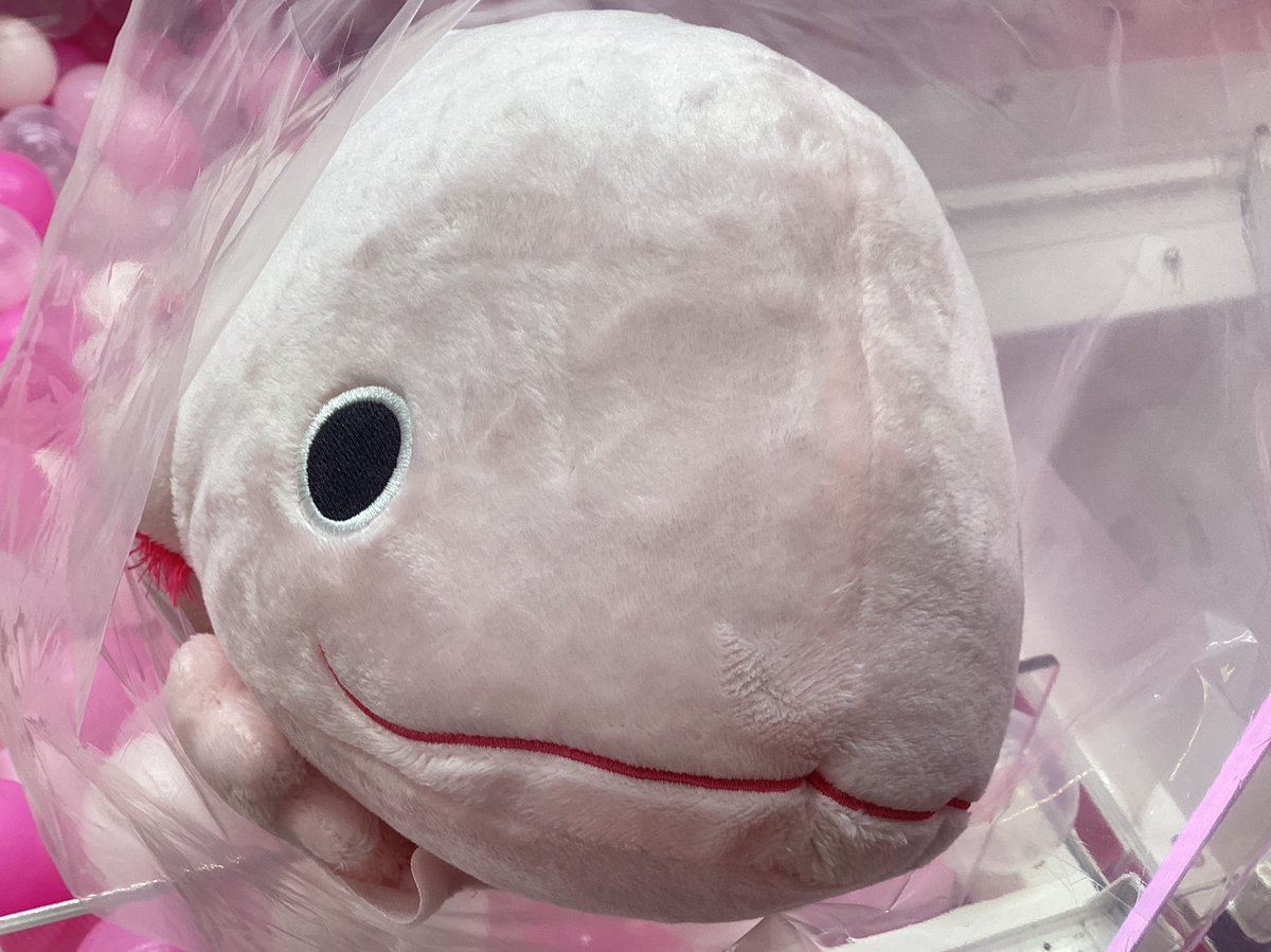 新景品入荷情報！】 「わくでかぬいぐるみ 珍獣捕獲シリーズ～メガ