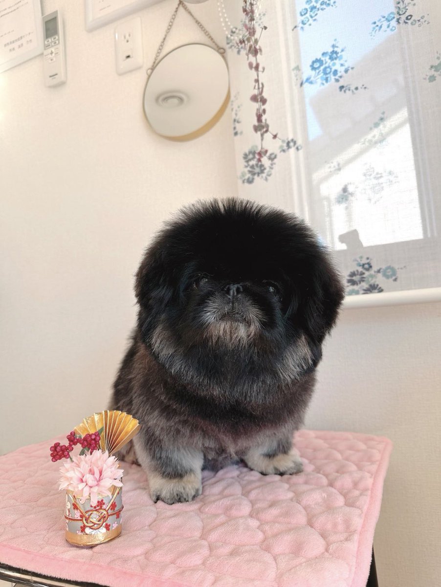 むぎ (@mugi_616_) / Posts / X