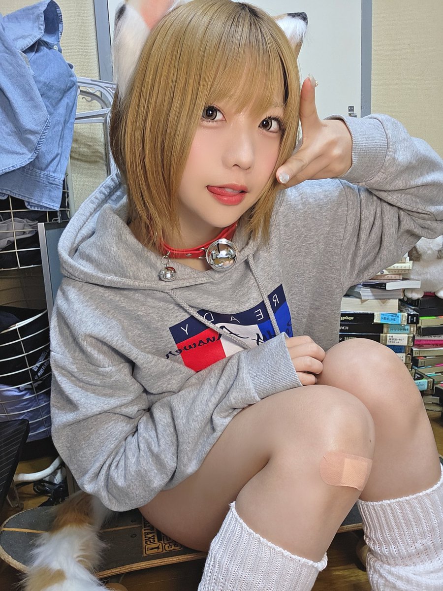 にゃろめ😼🍥 (@nyaromenia) / Posts / X