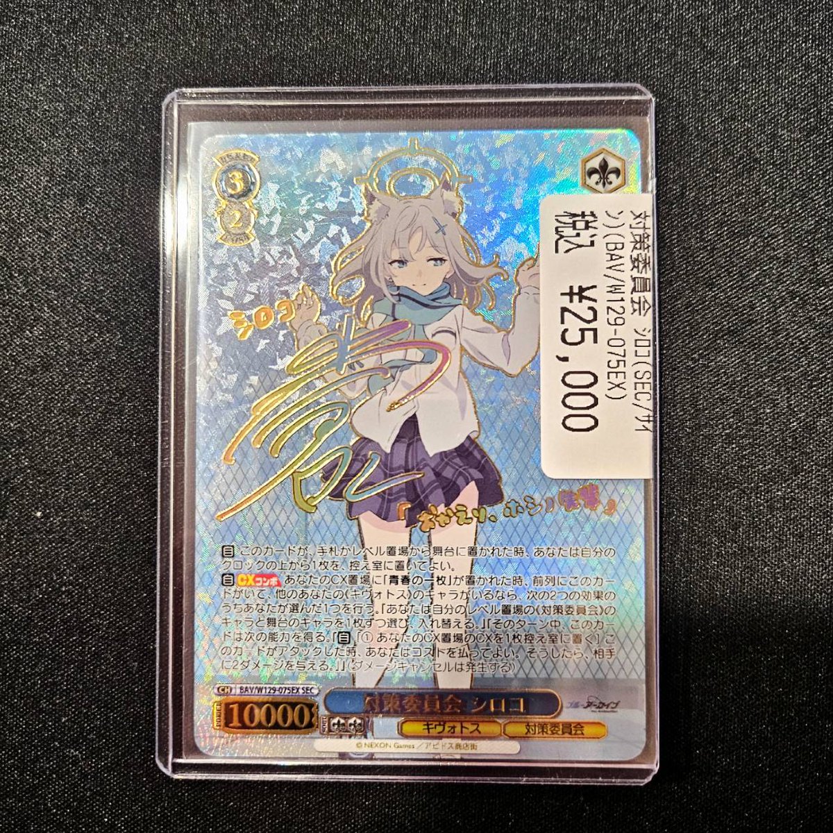 睡*眠様 対策委員会 シロコ SEC サイン ヴァイス ブルアカ アニメ 睡*眠