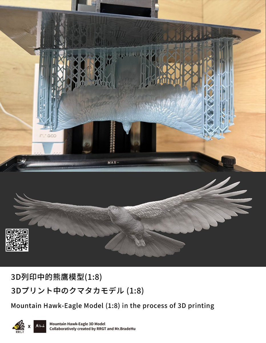 クマタカの頭骨 タカの頭蓋骨マスク - Etsy 日本