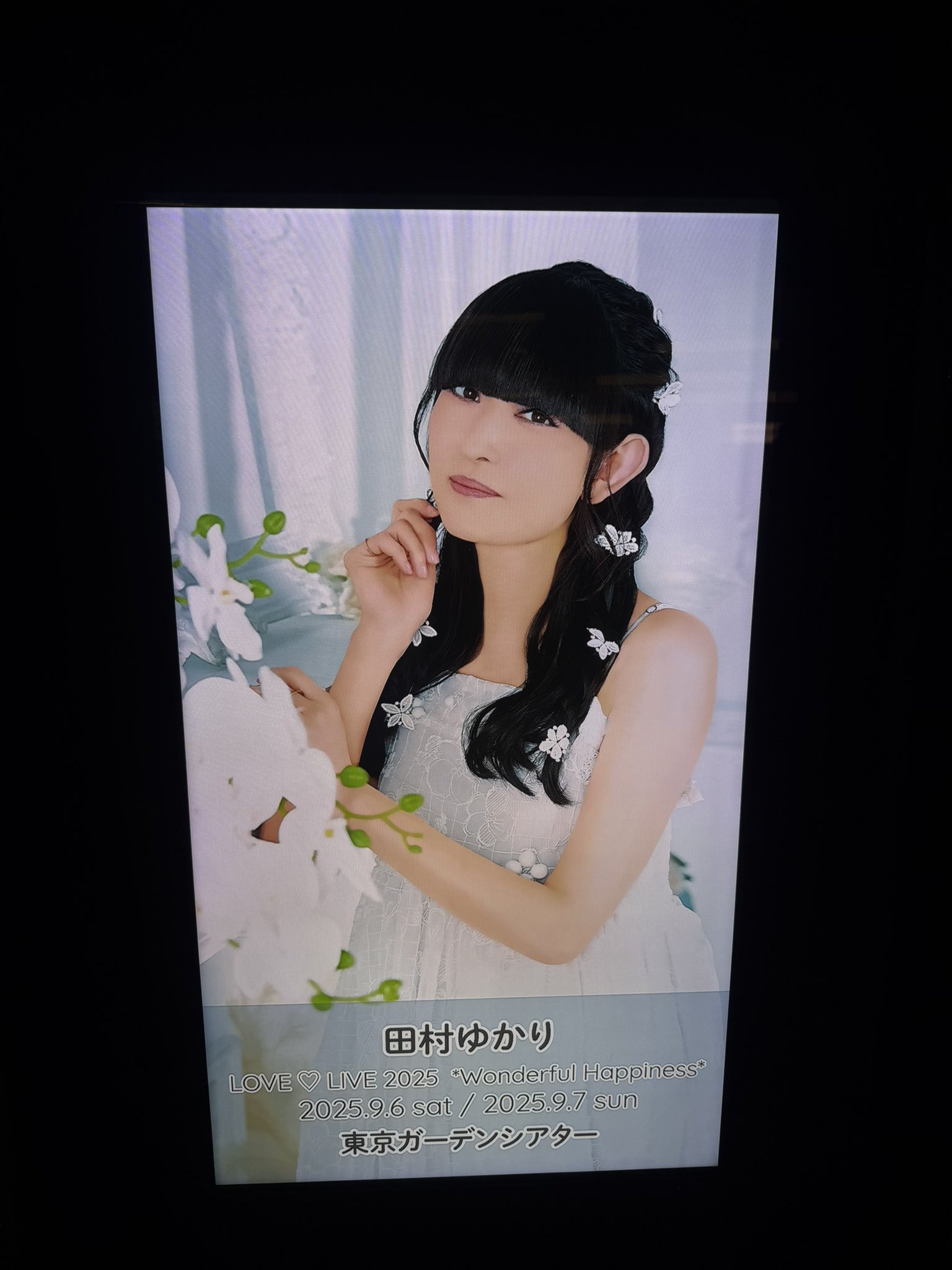 田村ゆかり パペット くろすけ未開封 田村ゆかり パペット くろすけ未