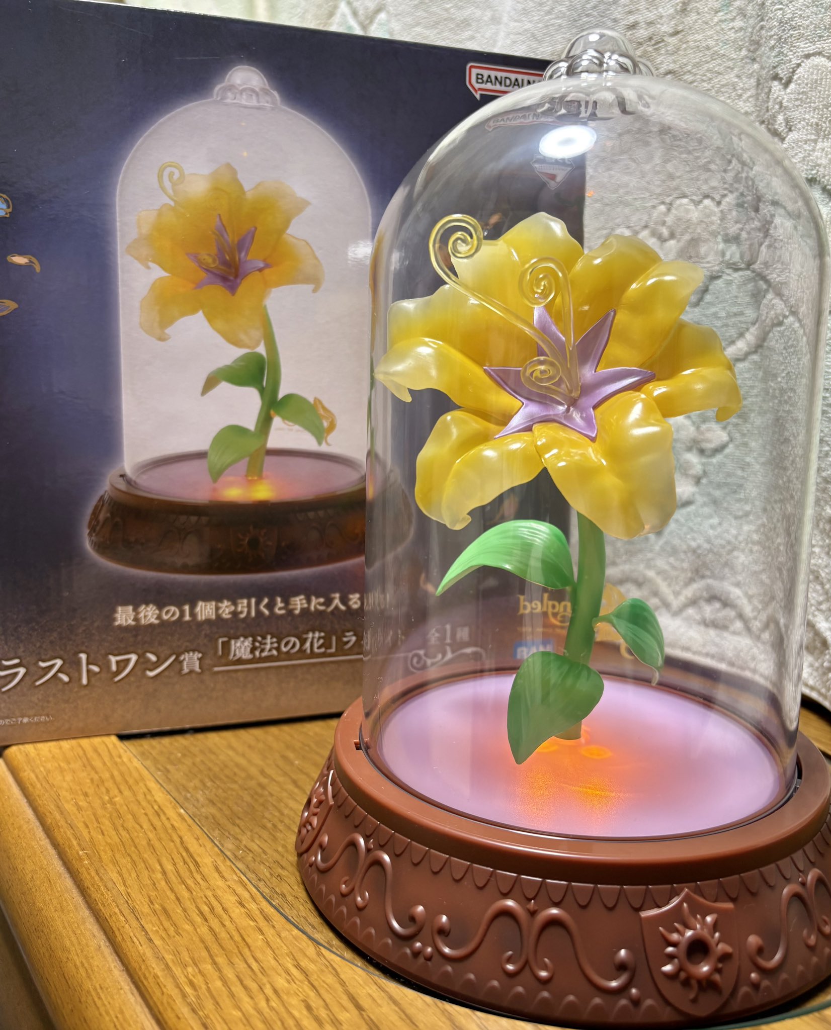 ディズニーストア ラプンツェル 魔法の花 LEDライト ラプンツェル 10