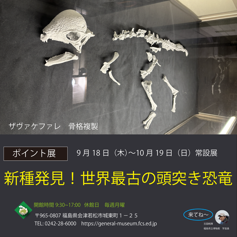 再開予定 準備中さま 希少 グラレーター 恐竜 足跡 270mm fr60 再開