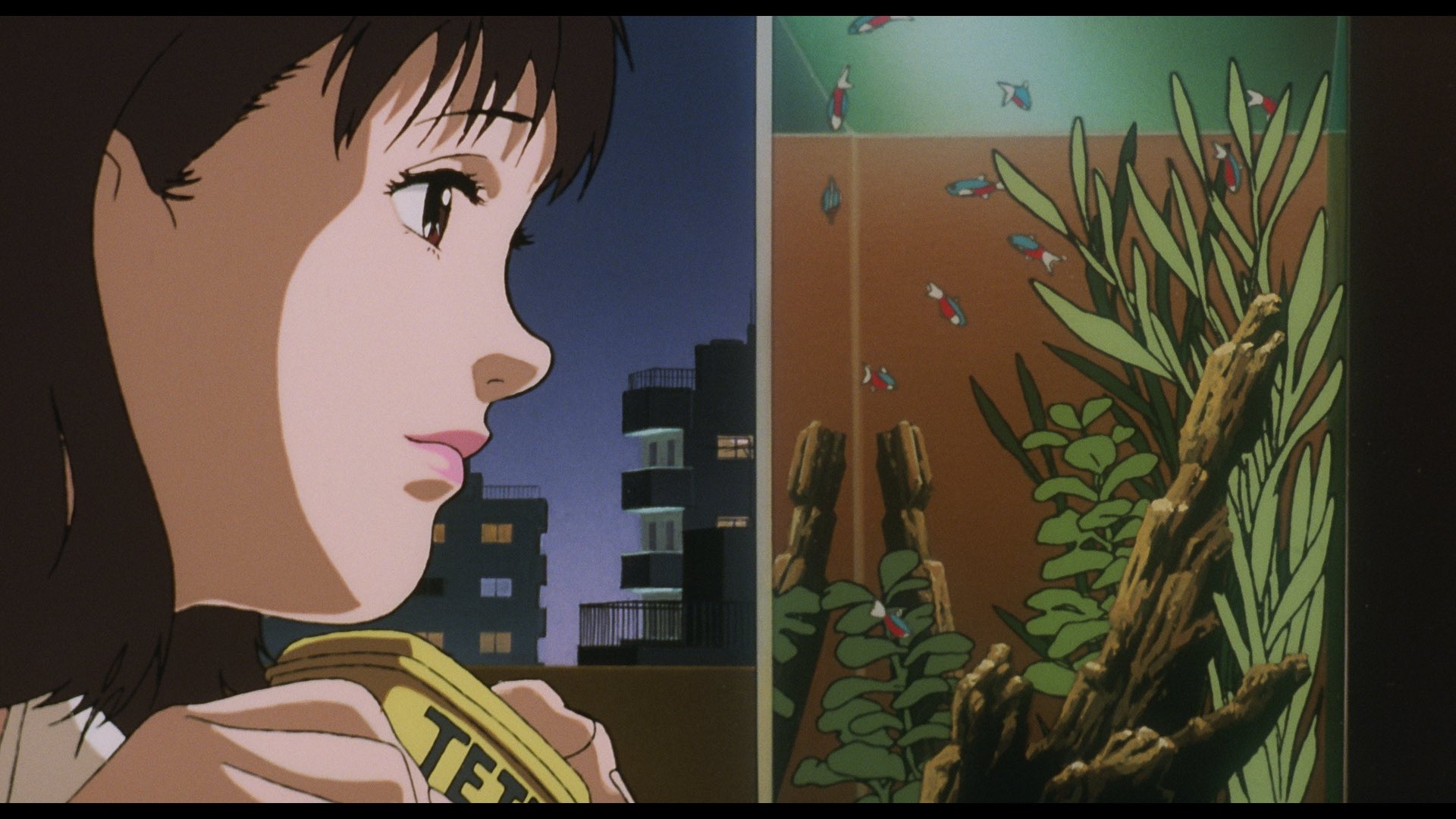 今敏 パプリカ クリアスタンドキーホルダー 10点セット 2 今敏