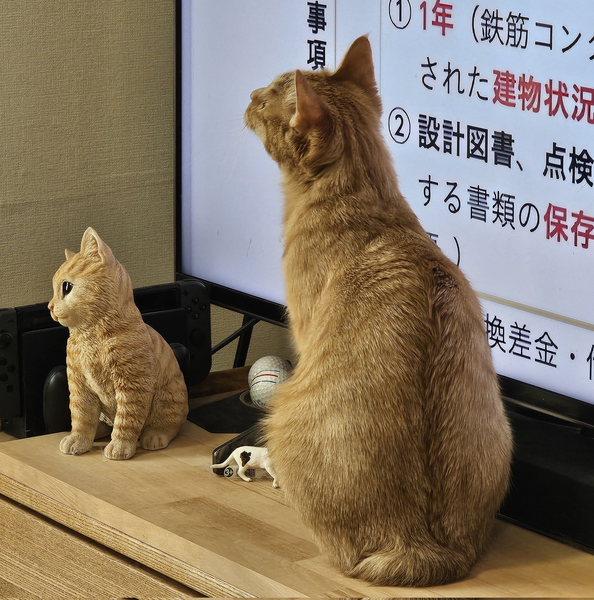 ブライスアウトフィット 着ぐるみトラネコちゃん（茶トラ） ☆茶トラ猫