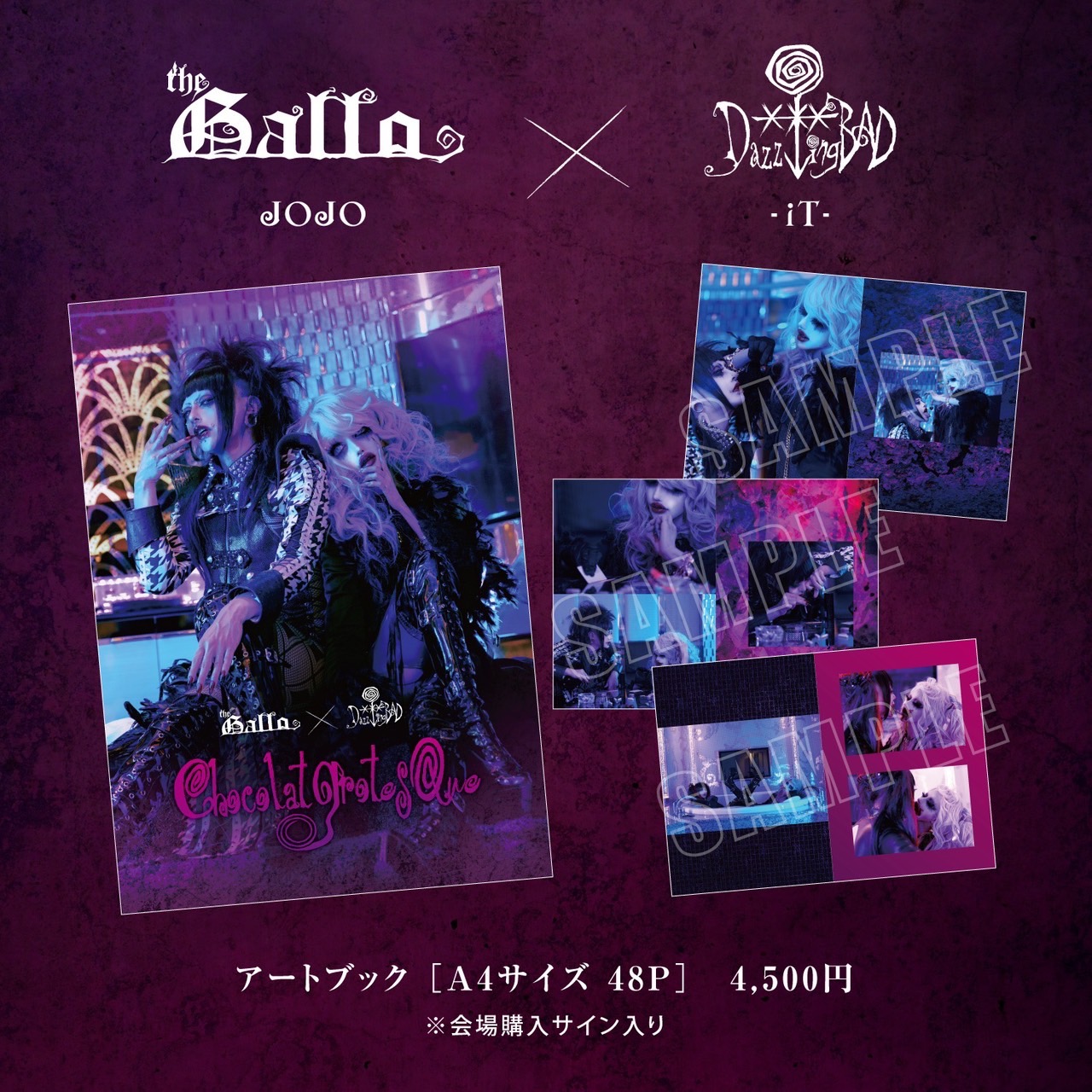 グラビティ 宏祐(社長)さん チェキ 71枚 グラビティ 宏祐(社長)さん