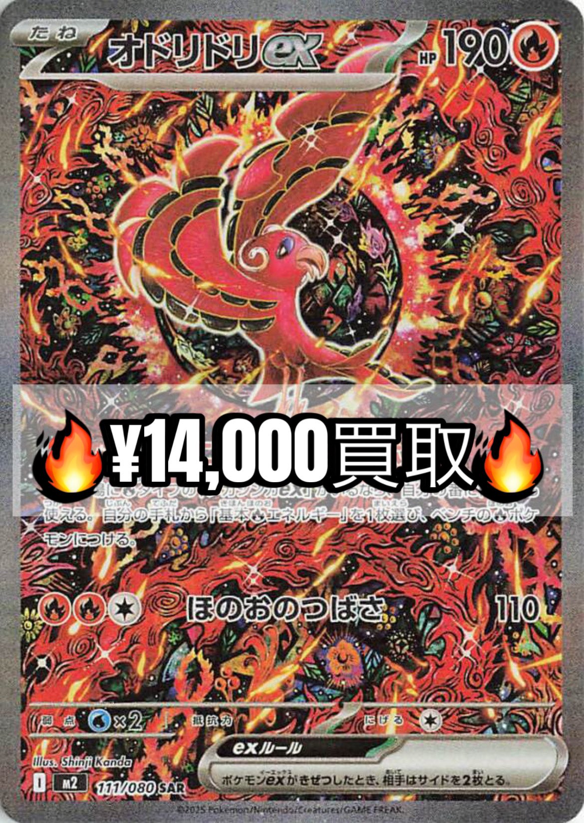 ポケモンカード オドリドリex SAR PSA10 2連番 PSA10 2025 ポケモン