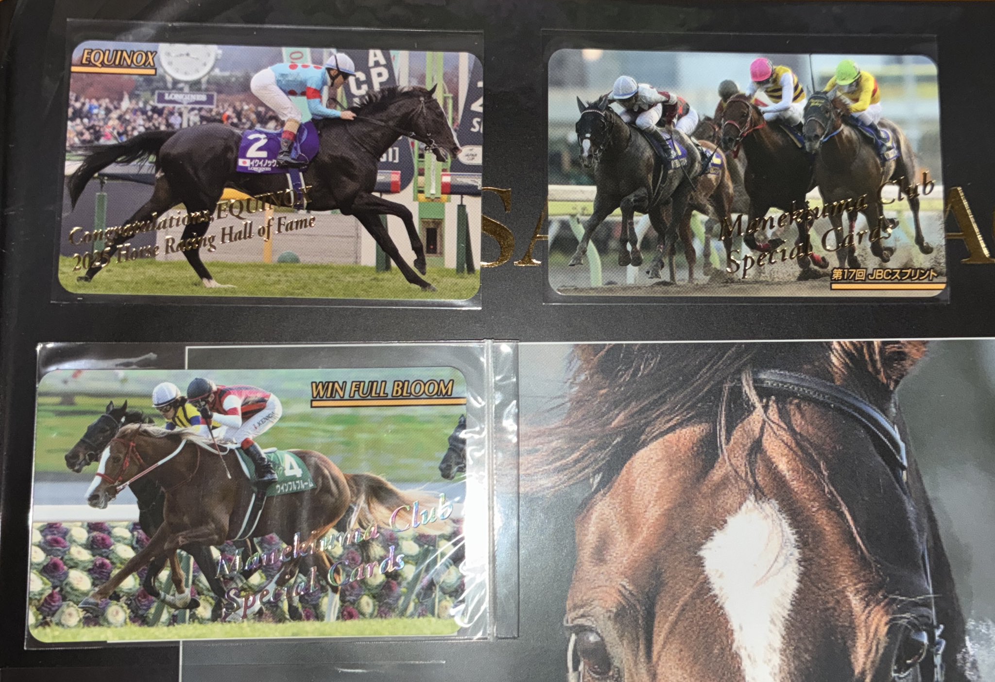 ☆アーモンドアイ(No.2111)☆まねき馬倶楽部 年度代表馬SPカード