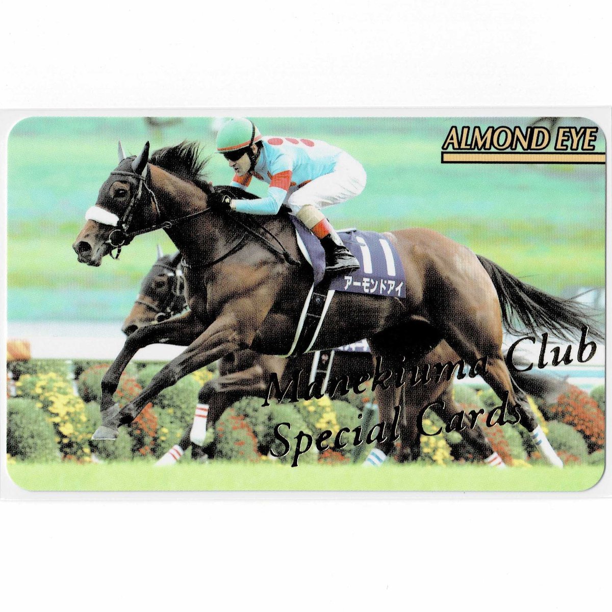 2026年最新まねき馬レインボーカードの人気アイテム まねき馬