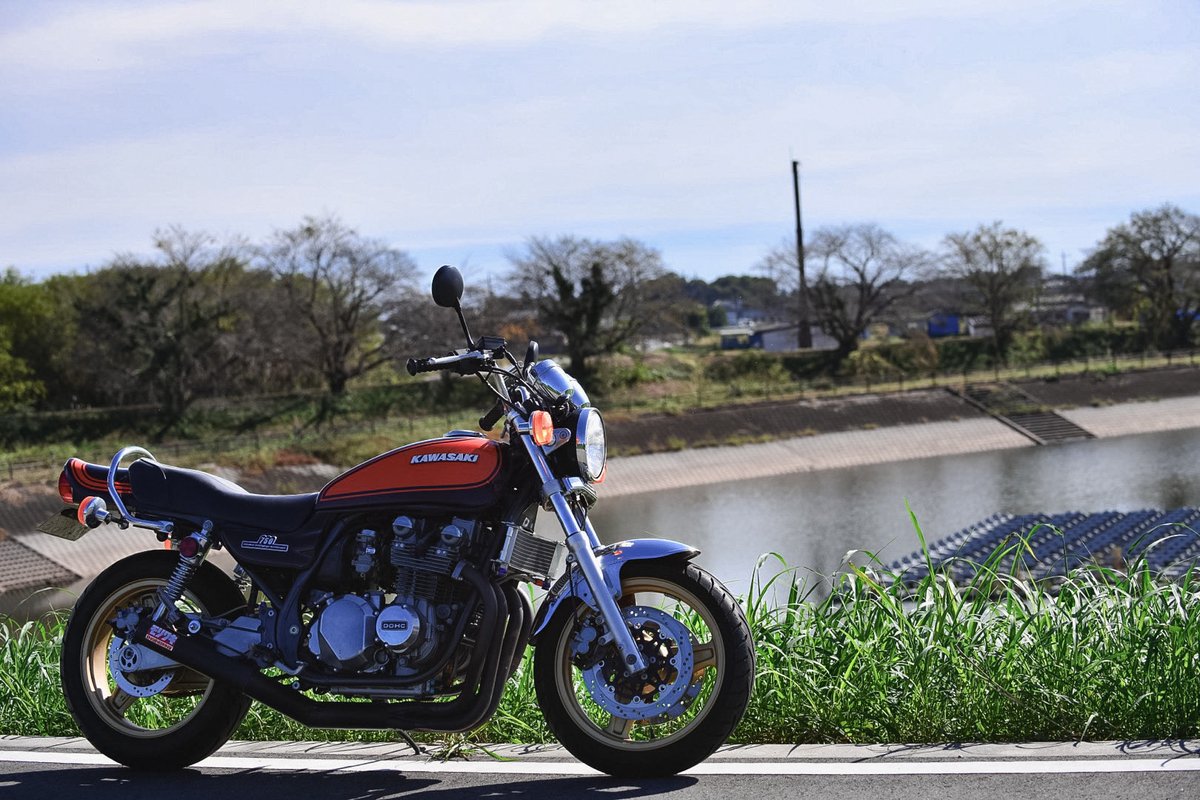 にがつ様 ご確認用 こー様オーダー確認用 yuchan様オーダー確認用 ZX